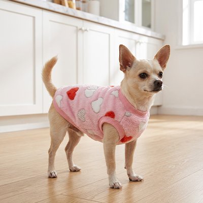 Pull pour Chien 