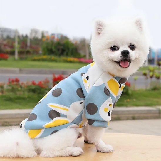 Pull pour chien