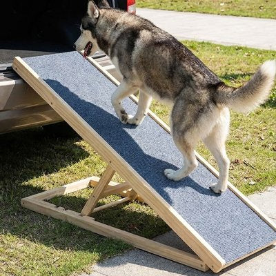 Rampe pour chien 