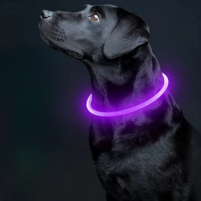 Collier Chien - DogCollarLight™ - Rose - Mon meilleur amis