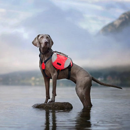 Sac de Voyage Chien - DogBackpack™ - Rouge - Mon meilleur amis